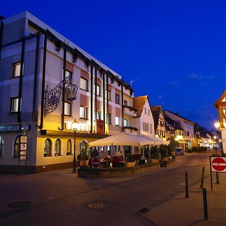 Adler Hotel & Restaurant Groß-Gerau Zewnętrze zdjęcie